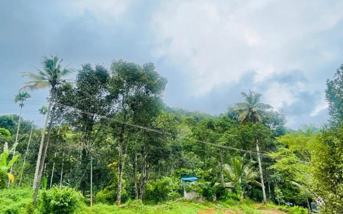 NIDHRA HOMESTAY 