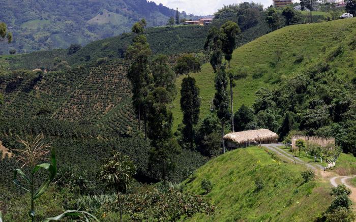 Eco Hotel Glamping El Silencio