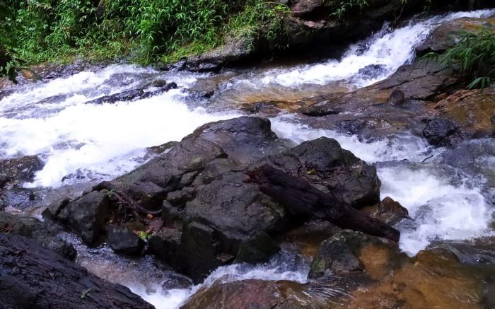Hidden Creek  Coorg