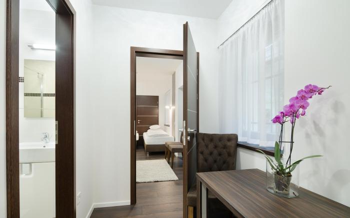 Paulay Downtown Apartments