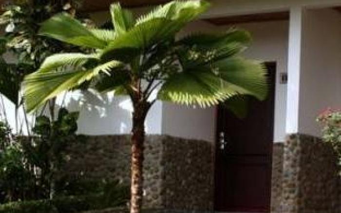 Volcano Lodge, Hotel & Thermal Experience