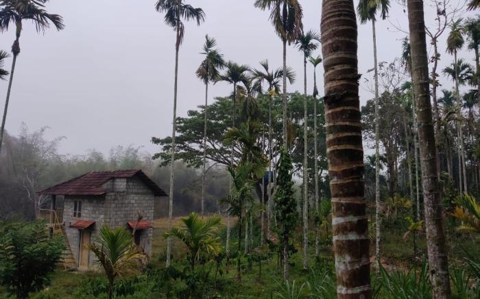 Nightingale Villa Wayanad