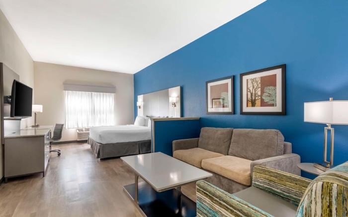 Best Western Plus Lake Lanier Gainesville Hotel and Suites