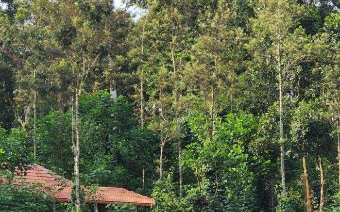 Green Turfs Farmstay- A cozy 2 bedroom cottage