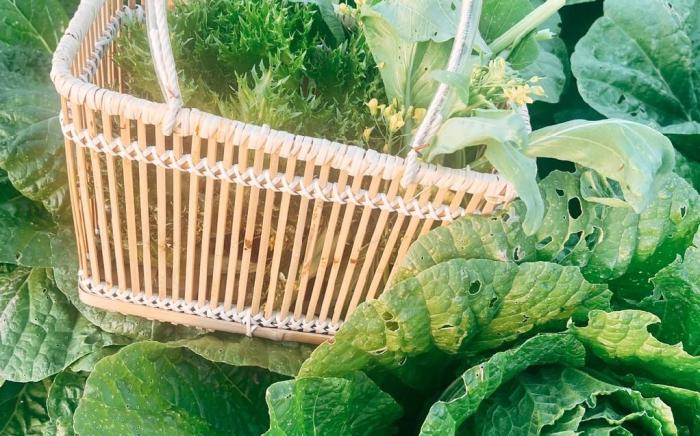 山神的家｜福村玻璃屋