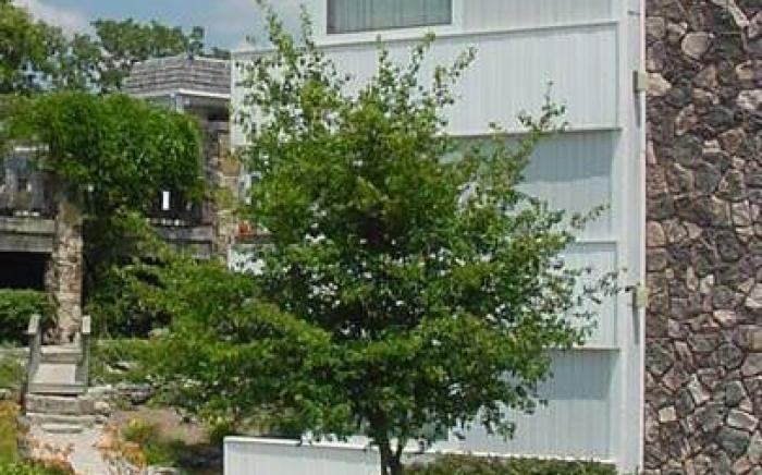Quail's Nest Inn & Suites