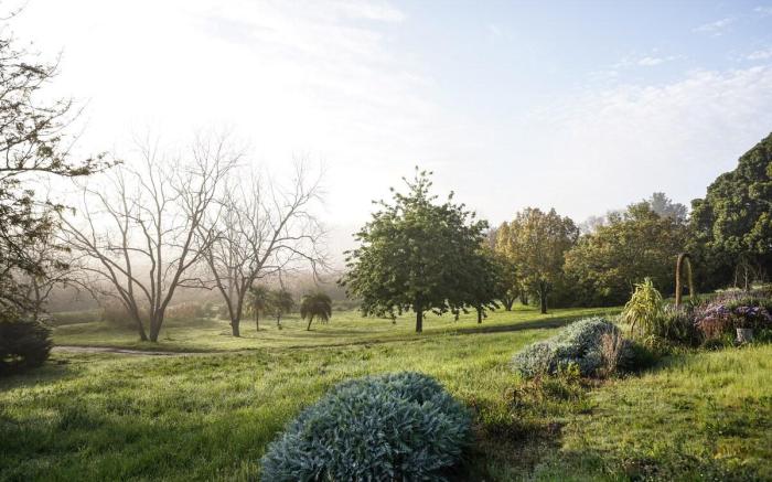 Avemore Vineyard View  with Backup power