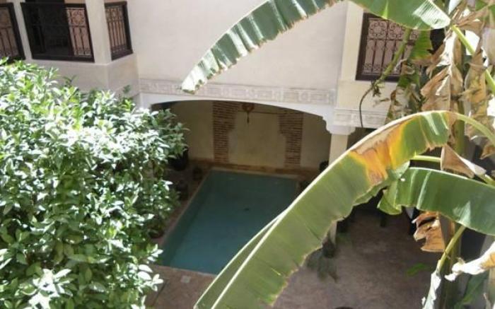Riad l'Oiseau du Paradis