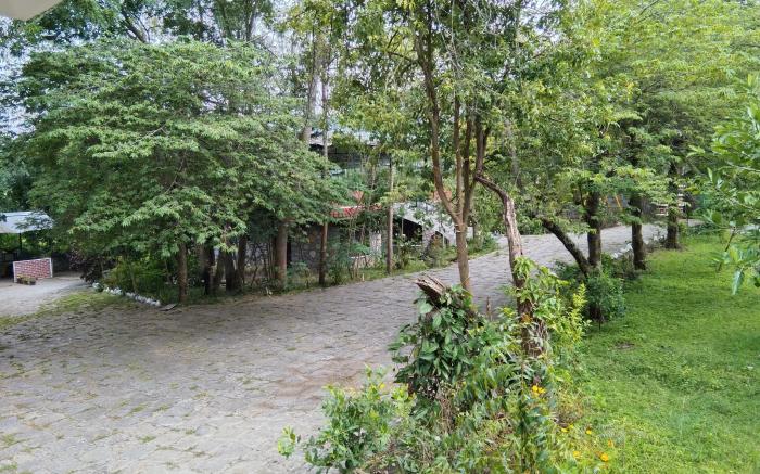 The Tiger Paw Resort