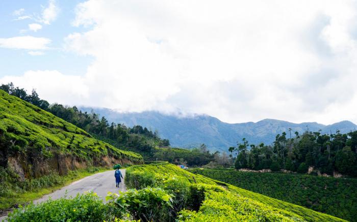 Zostel Munnar