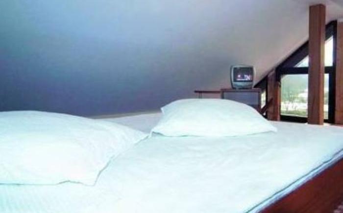 Pensiunea Andrei Moieciu