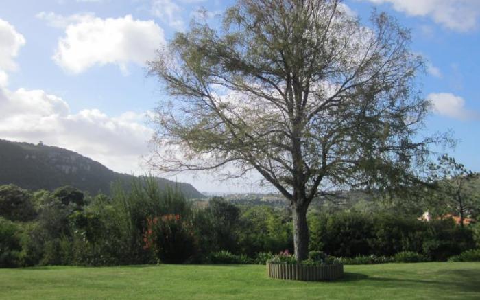 Piesang Valley Lodge