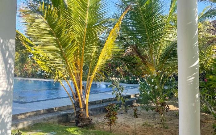 Whisky Point Surf Cabana