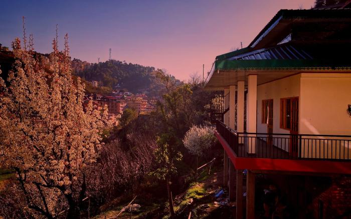 OrchidHomestay Kandaghat