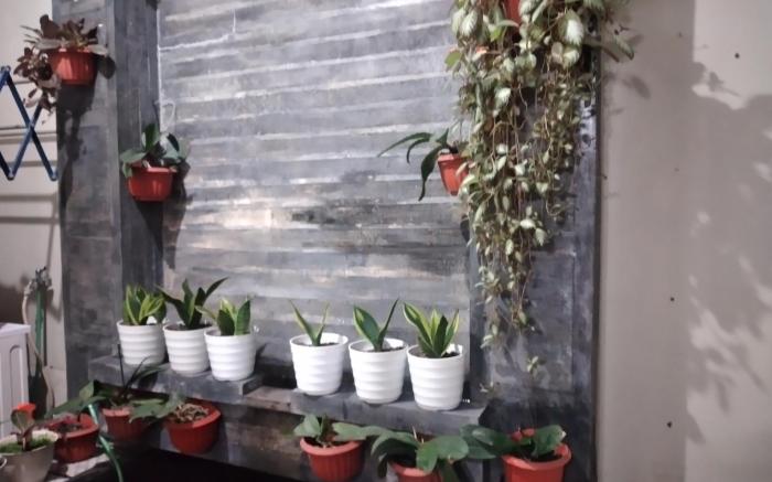Calya Wisata Homestay