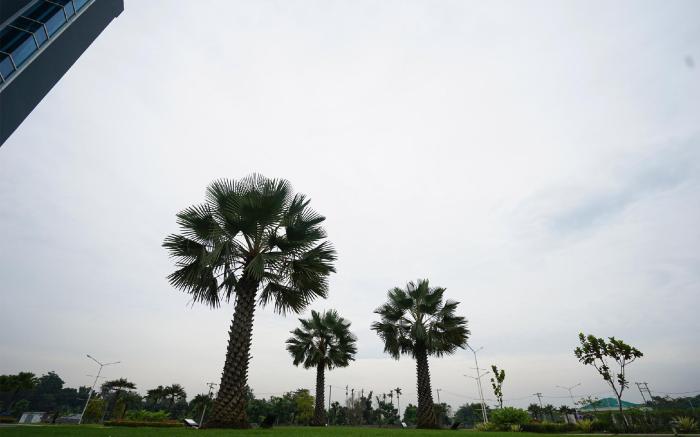The Lively Hotel Kualanamu Airport Medan