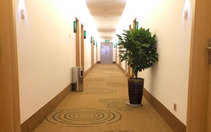 GreenTree Inn Baoding Baiyangdian Express Hotel