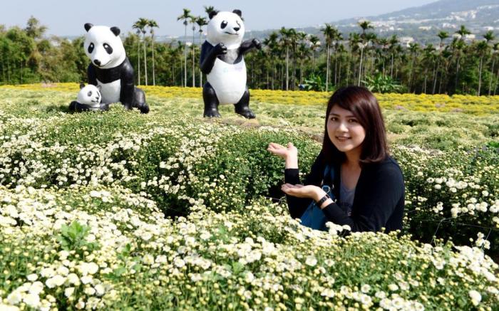 苗栗三義杉桐雅築民宿