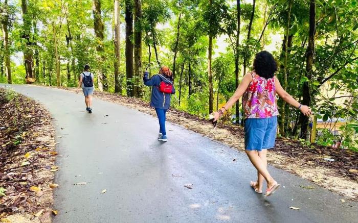 Tree Nature Resort