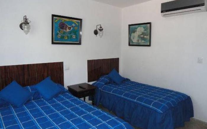 Hotel Las Dalias Inn