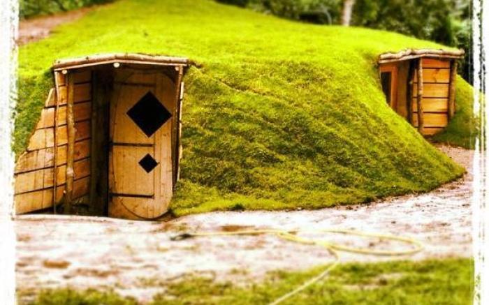 Le Nid Dans Les Bruyeres