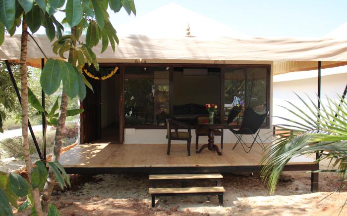 16 Bedouin 