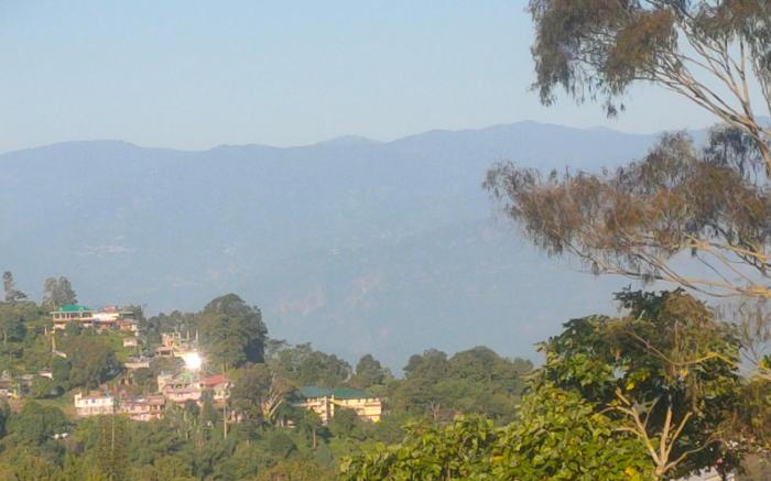 The Scarlett Homestay 