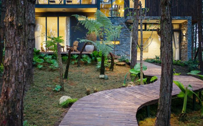 Mơ Stay - Forest Resort