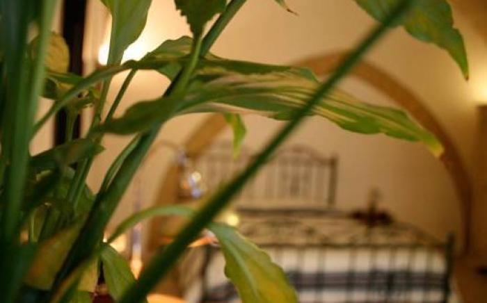 Antiche Volte B&B
