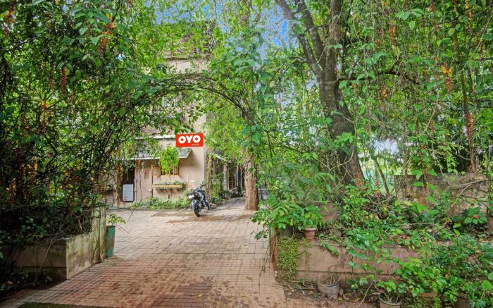 Collection O Clement Holydays