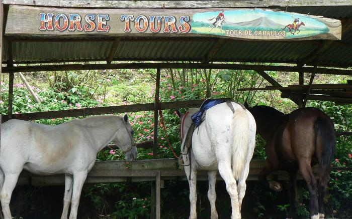 Hotel Arenal Lodge