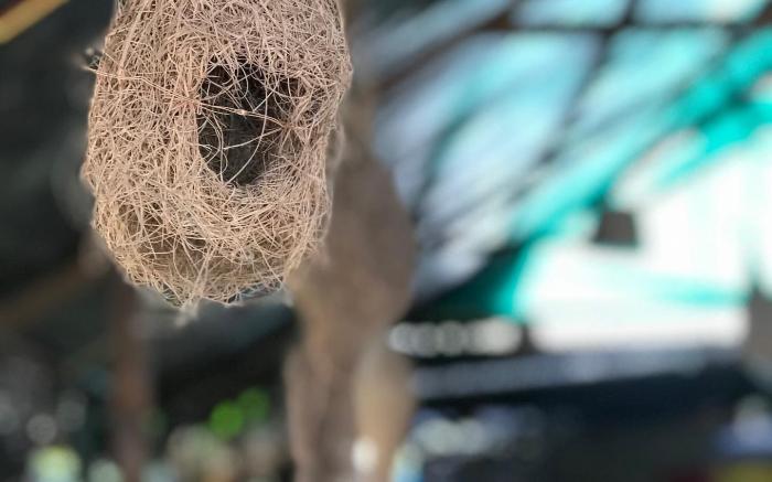 Ingawalefarmhouse (Agro tourism