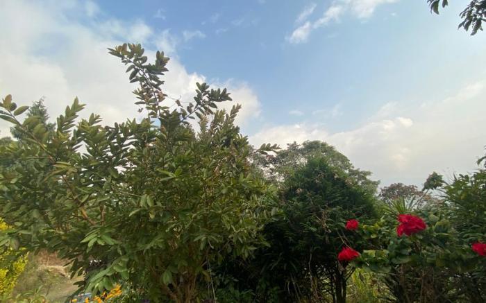 Atithi Griha Homestay 
