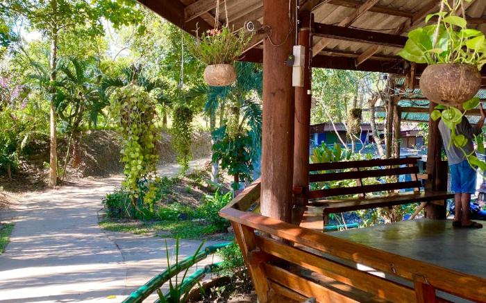 Shaya Resort
