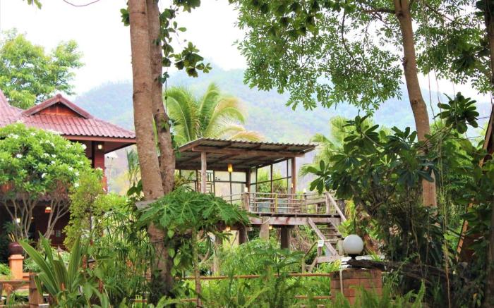 Shaya Resort