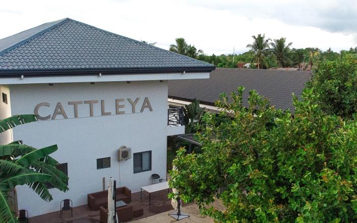Bohol cattleya resort 