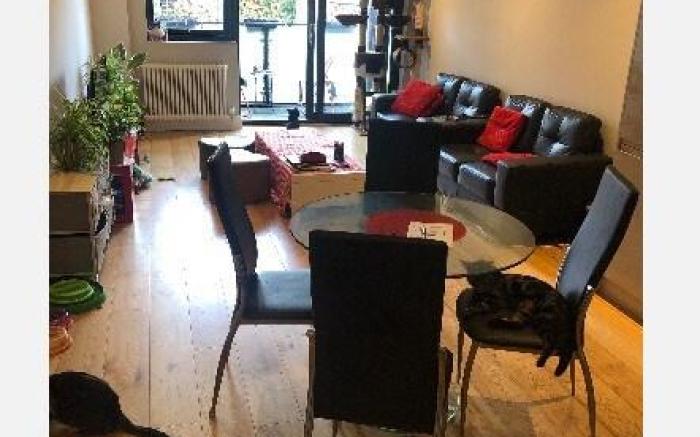 The Superior Serenity Suite