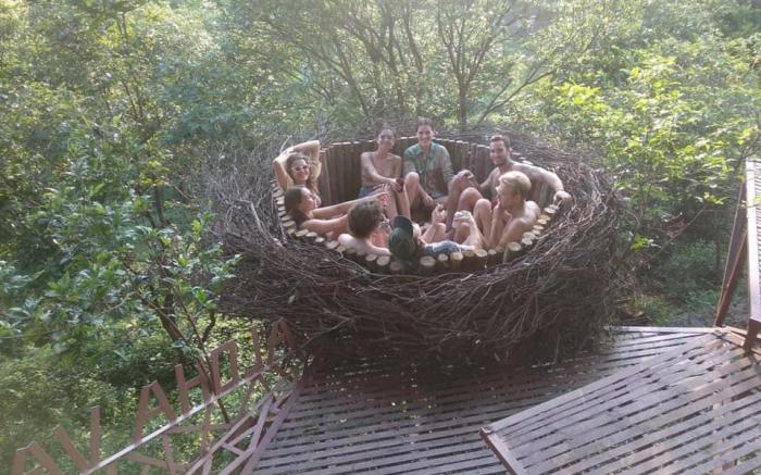 Tree house