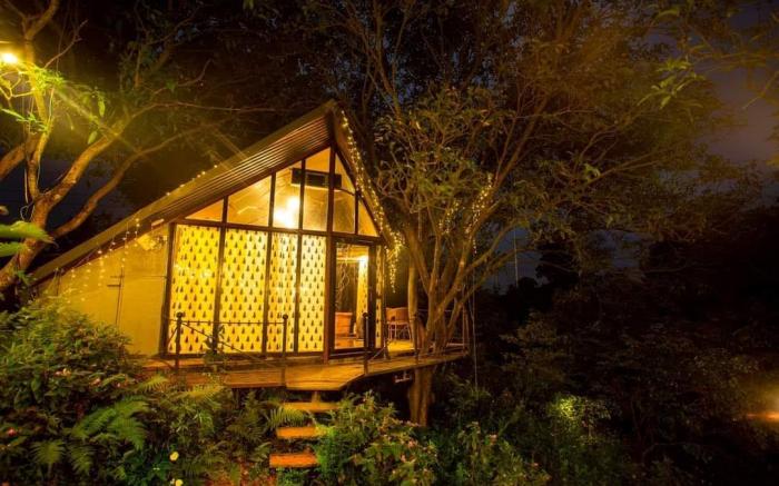 Tree house