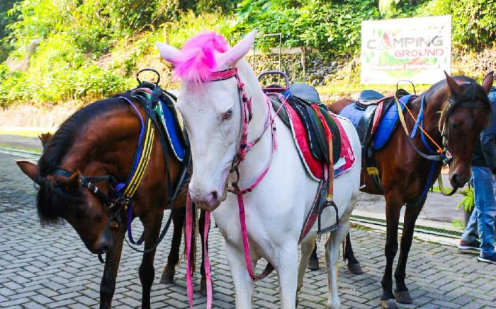 Lembah Permai Resort