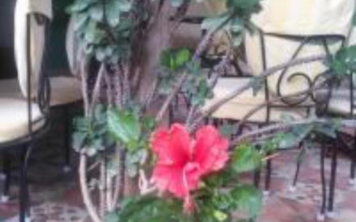 GREEN'S GUEST HOUSE