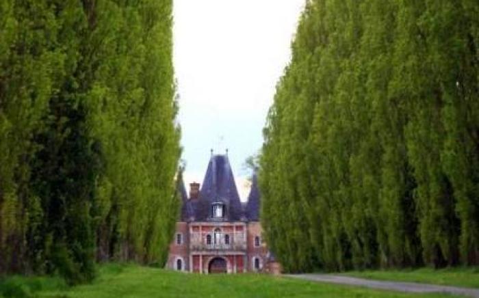 Le chateau de Bonnemare - Bed and breakfast