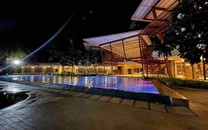 Pico de Loro Jacana 516B