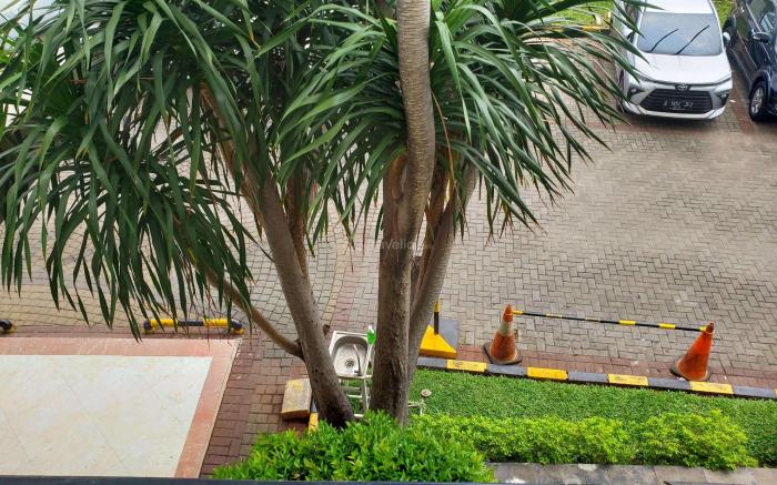 Comfy Studio Belmont Residence Puri By Travelio