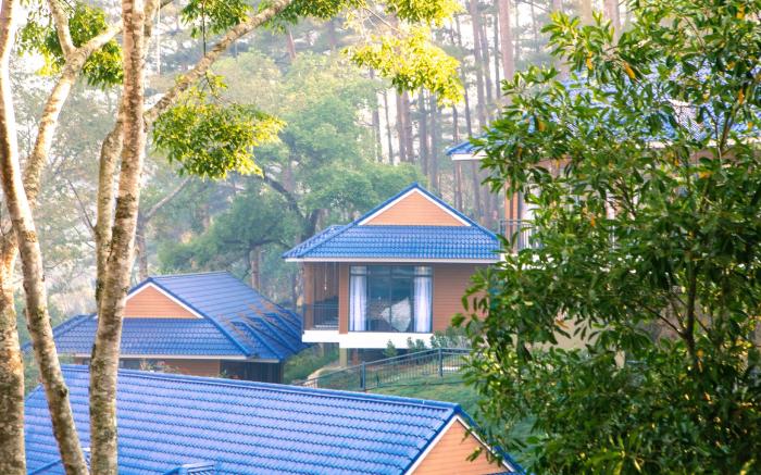TEA RESORT PRENN
