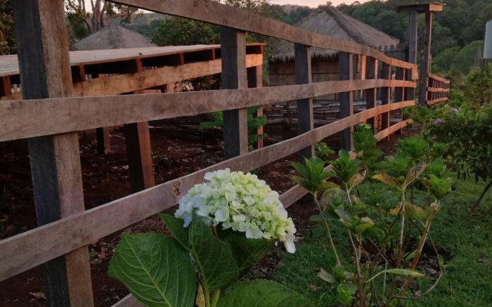La Villa Hortensia-Mondulkiri