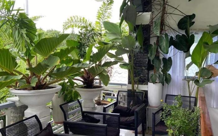 The Veehive Guesthouse