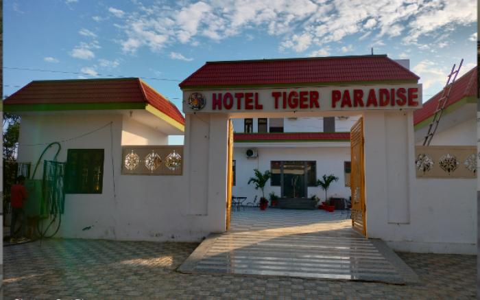 Tiger Paradise - Sariska