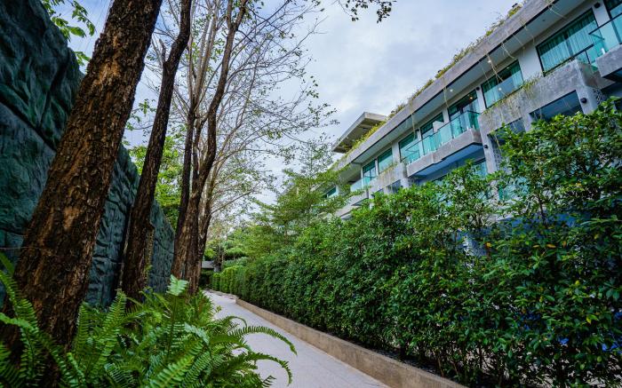 Rainforest Hotel by NSUN