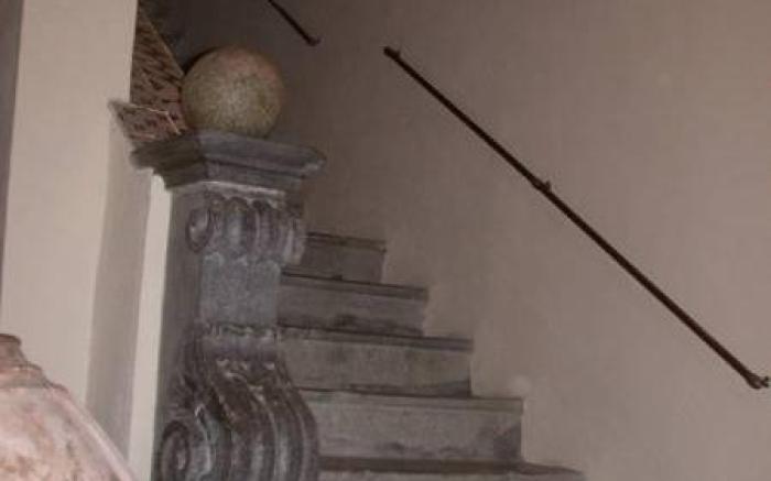 La Zizzania e il Mandarino